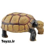 فیگور لاک‌پشت پای‌زرد آمازونی
