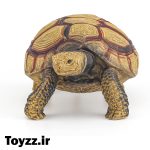 فیگور لاک‌پشت پای‌زرد آمازونی