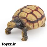 فیگور لاک‌پشت پای‌زرد آمازونی