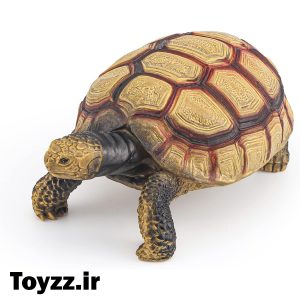 فیگور لاک‌پشت پای‌زرد آمازونی