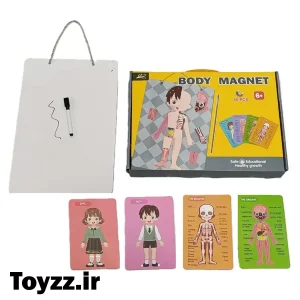کیت آموزشی آناتومی اعضای بدن مگنتی کد 202-3